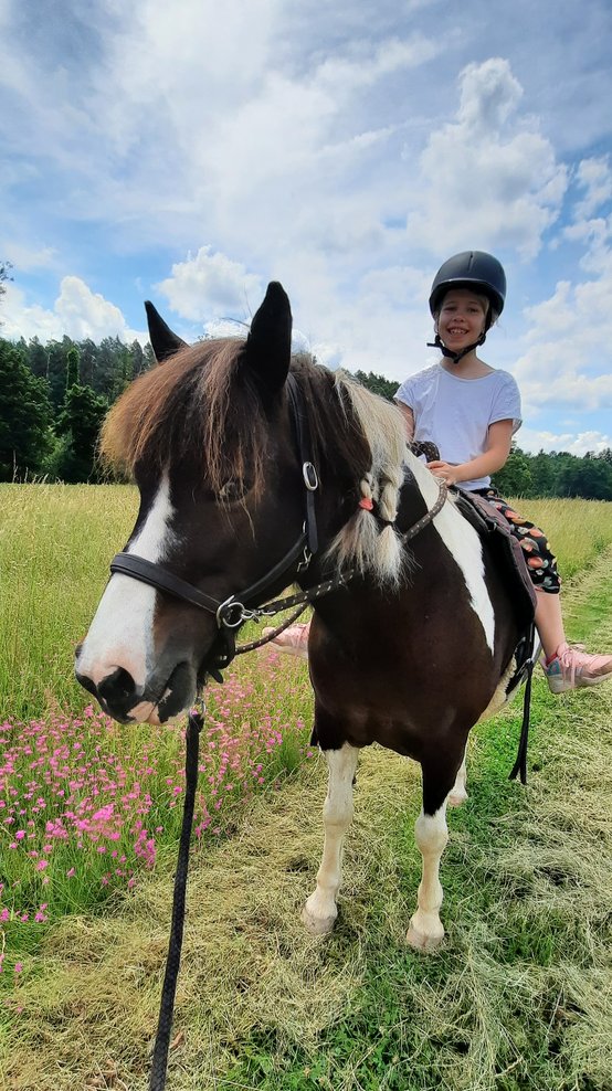 Ein lächelndes Kind sitzt mit Helm auf einem ruhigen Pferd auf einer Wiese